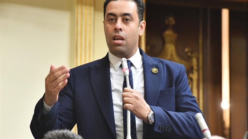 النائب أحمد فرغلى