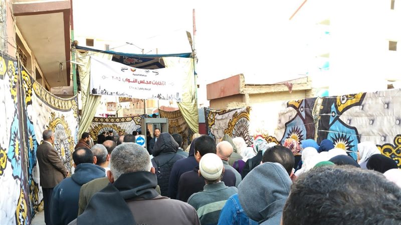لجنة بالبحيرة
