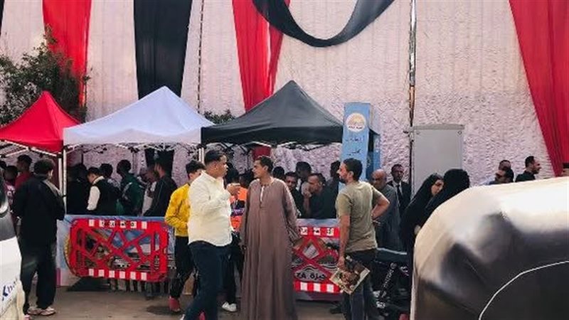 لجان التصويت بالجيزة،فيتو