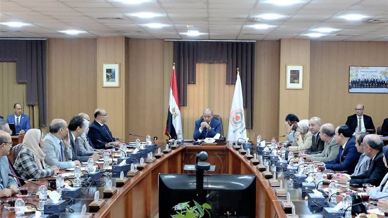 رئيس جامعة المنصورة،