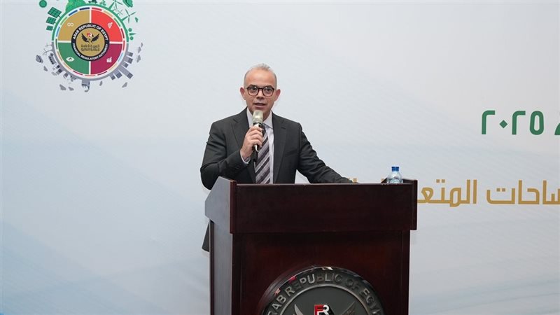 رئيس الهيئة العامة