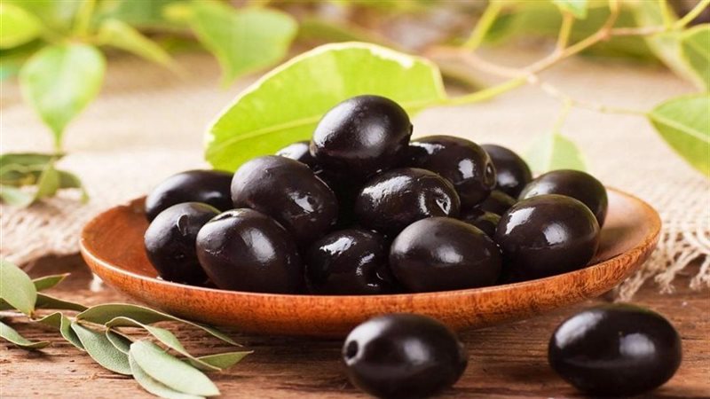 الزيتون الأسود 