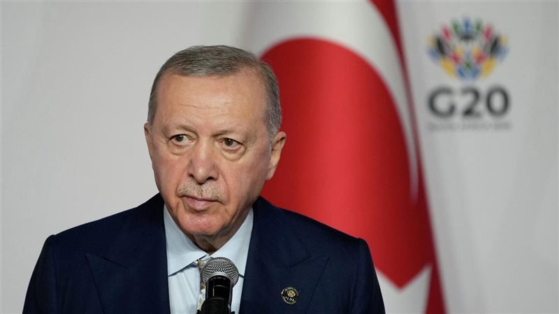 أردوغان، فيتو 