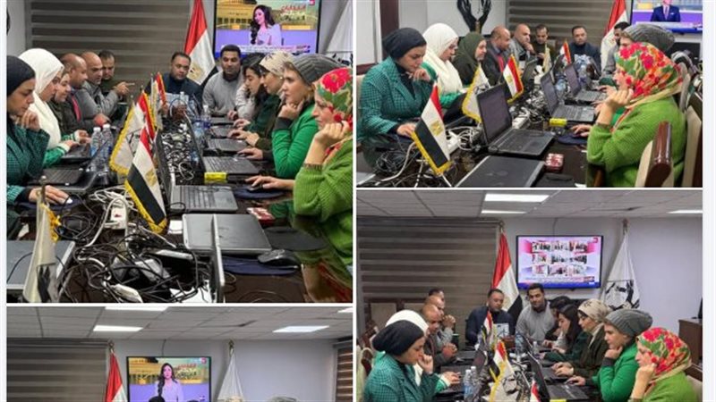 انتخابات،فيتو 