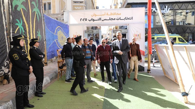 محافظ أسوان في اللجان