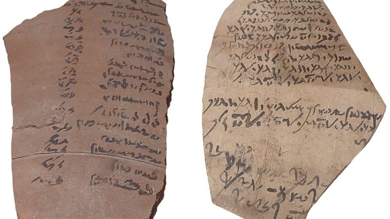 احتفالات المتاحف