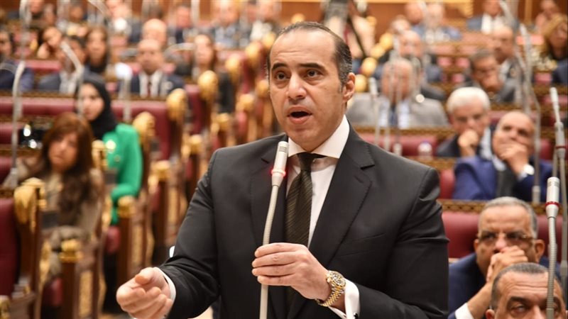 المستشار محمود فوزي