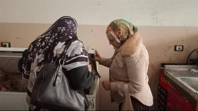 تموين القليوبية،