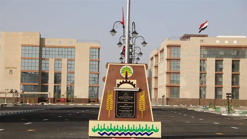 محافظة الوادي الجديد،
