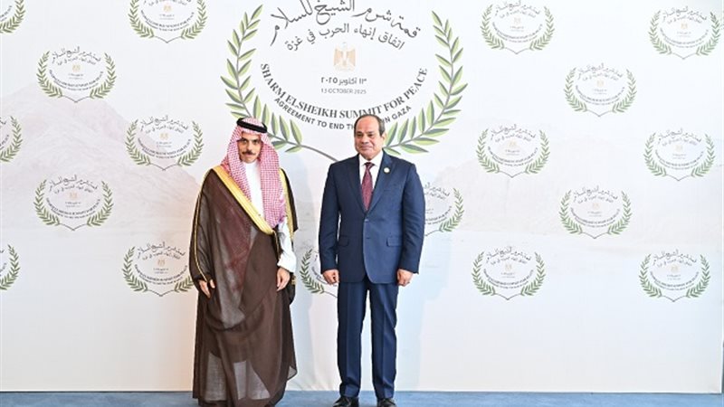 الرئيس السيسي ووزير