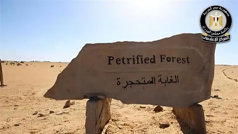 حقيقة التعدي على