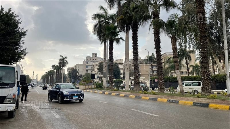 حالة الطقس،فيتو