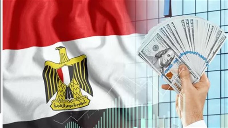 خبير يقدم حلول للأزمة