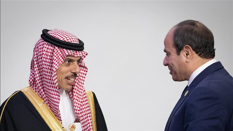 السيسي يستقبل وزير