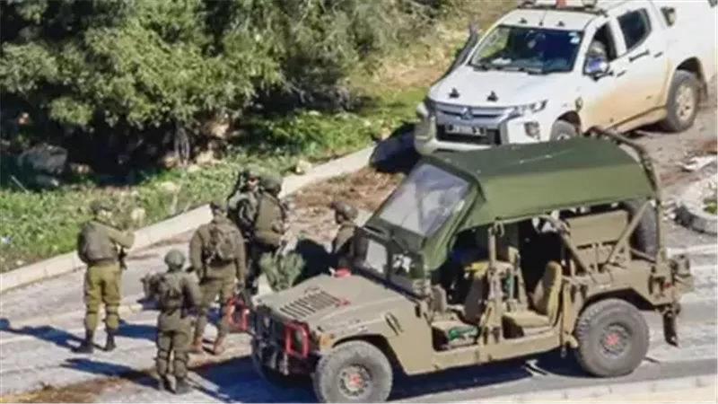 جنوب لبنان، فيتو