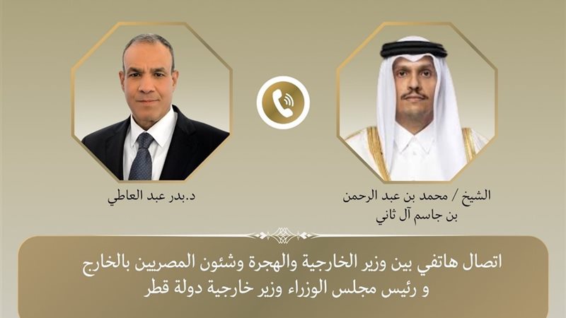 وزيرا خارجية مصر