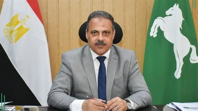 محافظ الشرقية 