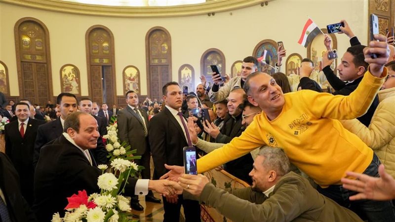 الرئيس السيسي ، فيتو