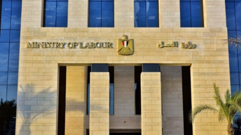 وزارة العمل،فيتو