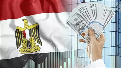 أخبار الاقتصاد اليوم: انخفاض أسعار الذهب واستقرار الدولار.. ارتفاع تراخيص السيارات الملاكي في السوق المصرية.. ومنتجو الدواجن والبيض يستغيثون بالرئيس بعد تصريحات وزير الزراعة