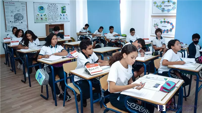 المدارس الدولية 