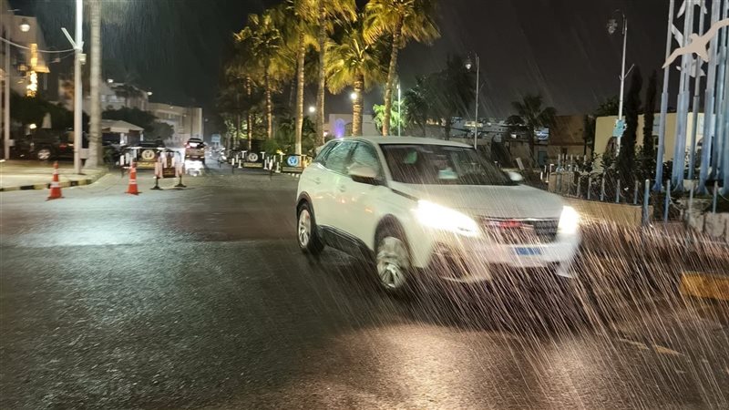 الاسكندريه 