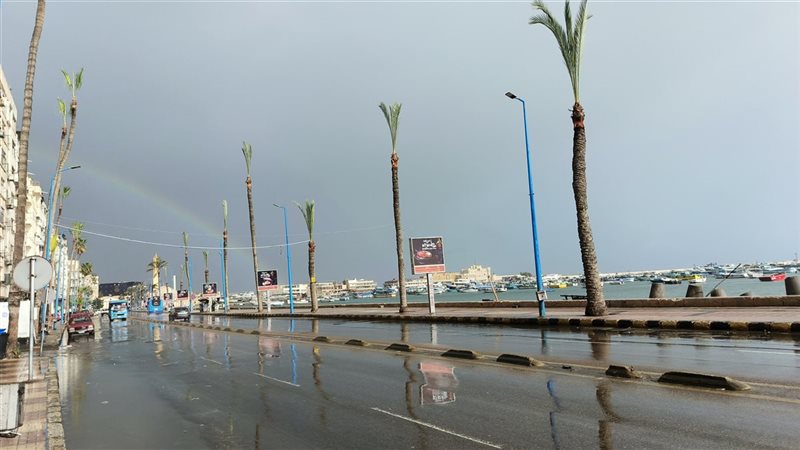 الاسكندريه 