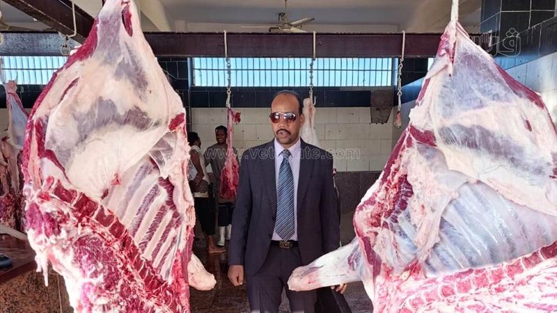 حملات تفتيشية للطب