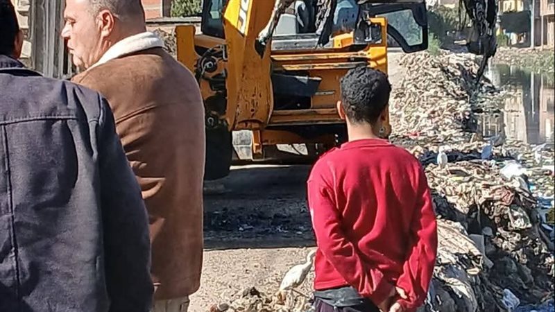 رفع حيوانات نافقة