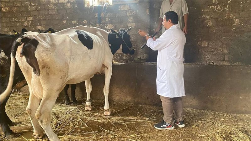 الحملة القومية للتحصين
