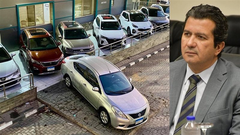 عمر بلبع، رئيس الشعبة