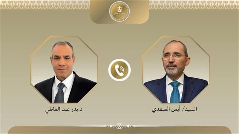 بدر عبد العاطي والصفدي