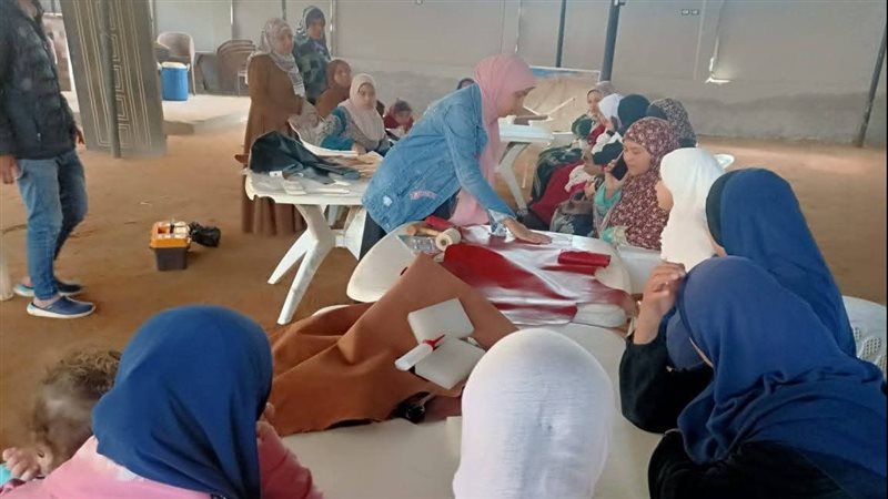برنامج علمني حرفة،فيتو