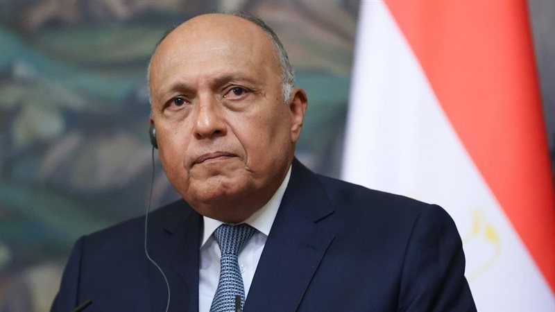 سامح شكري، فيتو