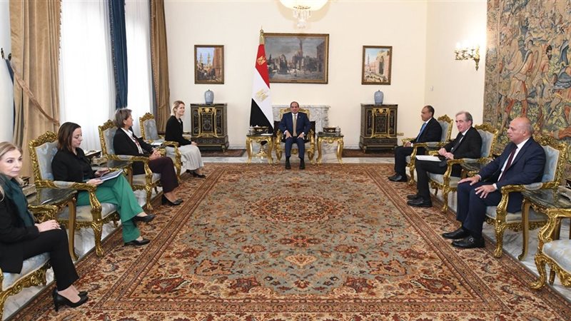 السيسي والممثلة العليا