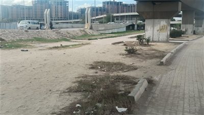  غيوم وصقيع فى الإسكندرية والمحافظ يوجه باستمرار رفع درجة الاستعداد