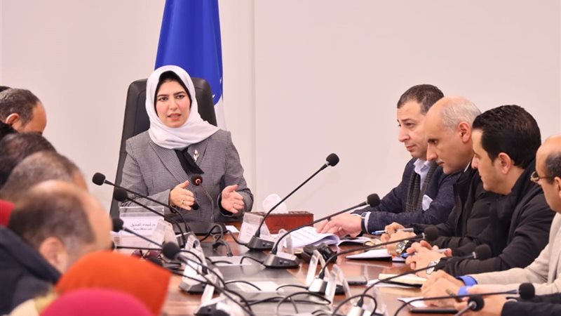 م شيماء الصديق، نائب