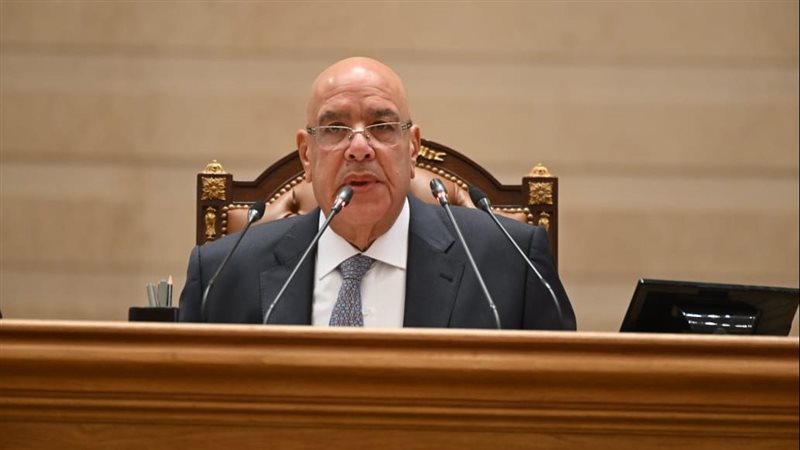 المستشار هشام بدوي