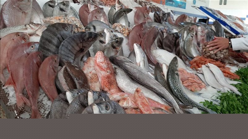 أسعار الأسماك بالبحيرة،