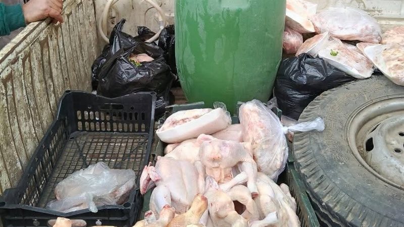 ضبط ربع طن دواجن