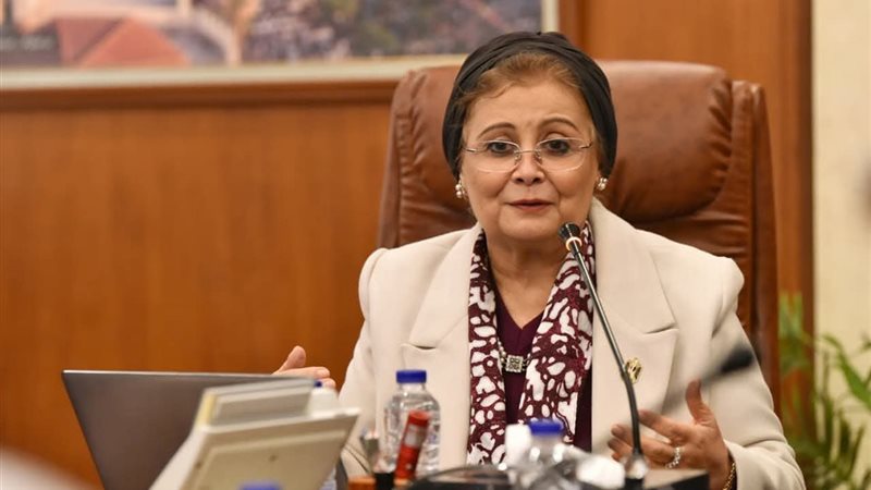 د.عبلة الألفي نائب