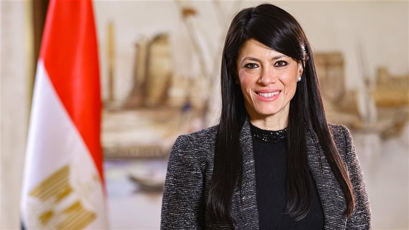 رانيا المشاط، فيتو