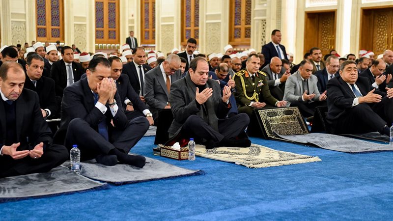 الرئيس السيسي، فيتو