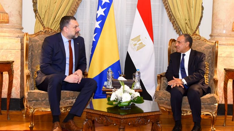 وزيرا الخارجية المصرى
