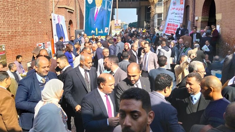 انتخابات فرعية المحامين،