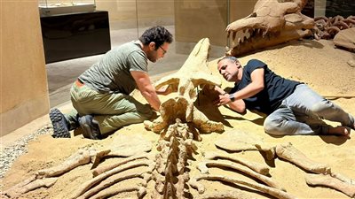 جامعة المنصورة تشارك في تنفيذ نموذج ثلاثي الأبعاد لحفرية 