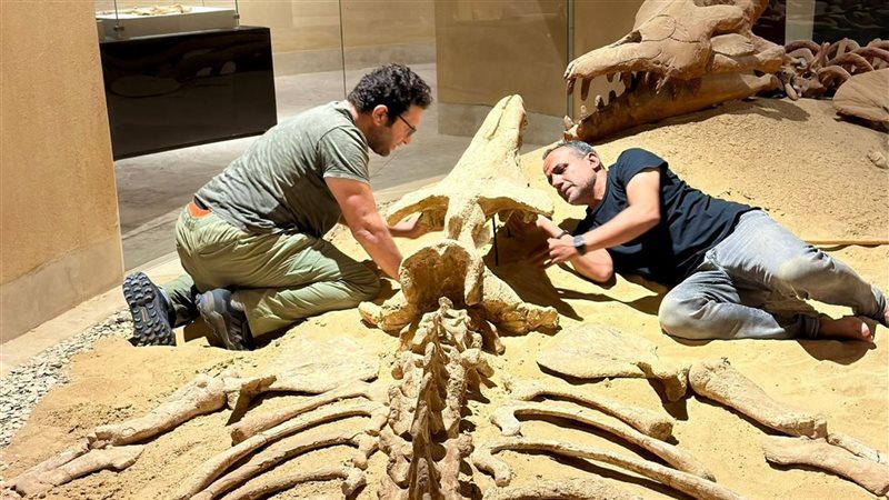 مشاركة فريق الحفريات