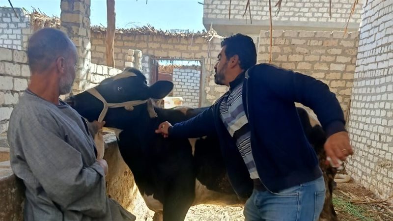 حملة لتحصين الماشية