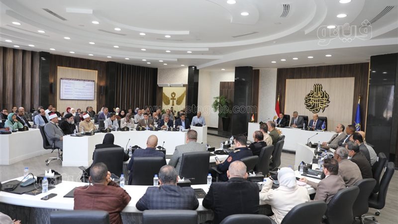 المجلس التنفيذى فى
