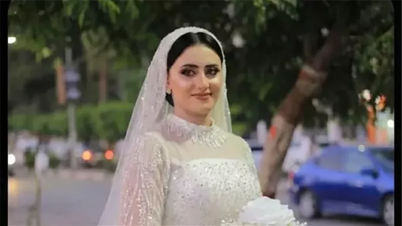 عروس المنوفية 